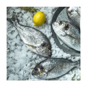 Fresh Local Sea Bream 550 g